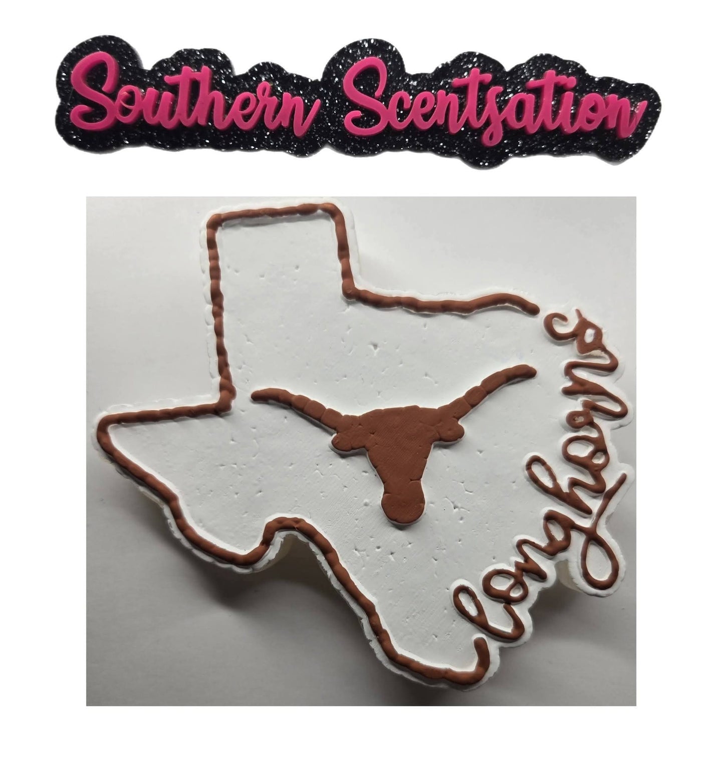 Texas with longhorn